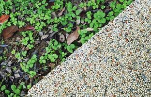 the path is the texture of stone and grass. close-up. background image Straight line of stone pavement and lawn Top view photo