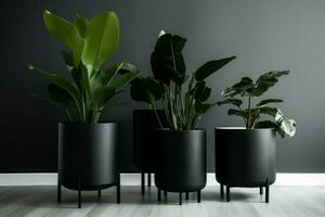 Interior black indoor planters natural. Generate Ai photo