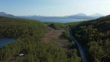 aéreo Visão tiro do lindo verde árvores e montanhas, Noruega. video