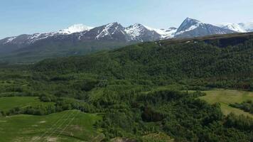 aéreo Visão tiro do lindo verde árvores e montanhas, Noruega. video