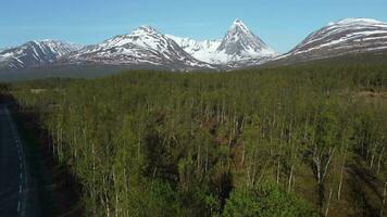 aereo Visualizza tiro di bellissimo verde alberi e montagne, Norvegia. video