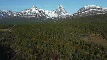 aereo Visualizza tiro di bellissimo verde alberi e montagne, Norvegia. video