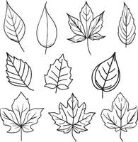 conjunto de otoño hoja colorante hoja, otoño que cae hoja derecho de retención dibujos, mano dibujo hojas línea Arte vector