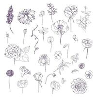 Hand drawn outline floral elements set. Collection with different flowers and plant. vector