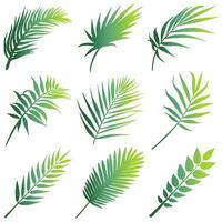 Free vector silhouette illustration collection of yellow green gradient leaf shapes