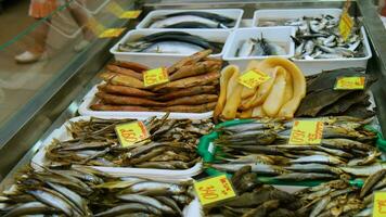 fresco peixe em a mercado contadores video