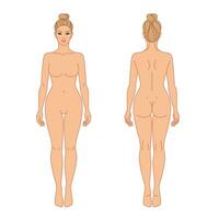 mujer cuerpo frente y espalda ver vector ilustración. aislado contorno línea contorno color modelo niña sin ropa.