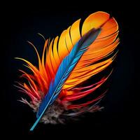 Vibrant contrast of an feather on black background photo