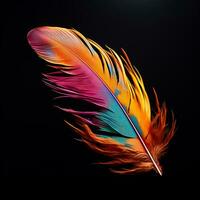 Vibrant contrast of an feather on black background photo