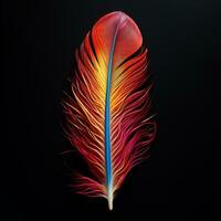 Vibrant contrast of an feather on black background photo