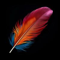 Vibrant contrast of an feather on black background photo