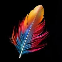 Vibrant contrast of an feather on black background photo