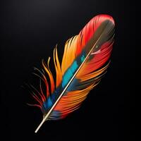 Vibrant contrast of an feather on black background photo