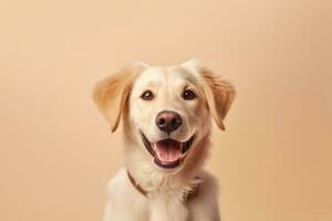 cute dog on beige background, AI Generated photo