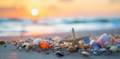 Sea shells and rocks on the beach photo