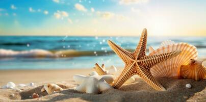 Sea shells and rocks on the beach photo