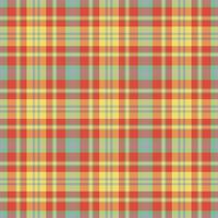 Plaid seamless pattern. Vector background of textile ornament. Flat fabric design.
