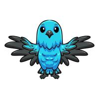 Cute spangled cotinga bird cartoon flying vector