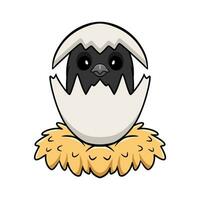 Cute crow bird cartoon inside from egg vector