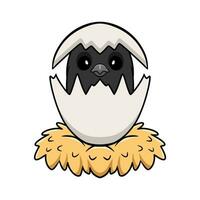 Cute crow bird cartoon inside from egg vector