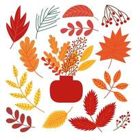 Autumn leaves bouquet vector set. Flat autumn foliage and berries set.