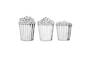 Popcorn in box size engraving ink vector illustration , line art.