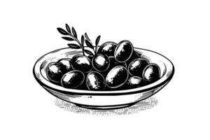 Olive on a plate in engraving style element for poster, collage, banner. Vector illustration.