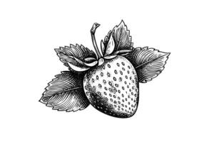 Strawberry in engraving style. Design element for poster, card, banner, sign. Vector illustration