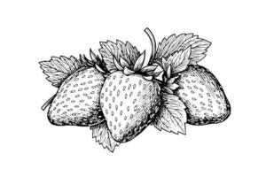 Strawberry in engraving style. Design element for poster, card, banner, sign. Vector illustration