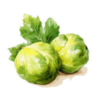 Brussels Sprouts watercolor illustration, Vegetable isolated on transparent background, AI Generative png