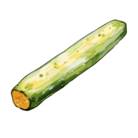 Zucchini watercolor illustration, Vegetable isolated on transparent background, AI Generative png