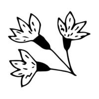 a doodle sprig of cornflower wild flowers vector