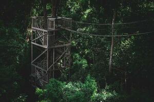 fotos, alto de madera edificios, bosque turismo, Kalimantan foto