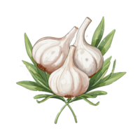 Garlic watercolor illustration, Vegetable isolated on transparent background, AI Generative png