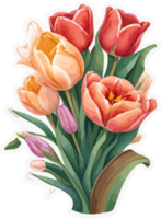 Tulip Flowers Bouquet Water Color Art AI Generative png