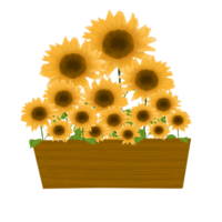 dekorativ Sonnenblume Illustration png