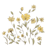 dekorativ Blume Illustration png