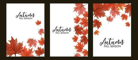 Set of autumn frame banner with falling maple leaves vector