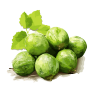 Brussels Sprouts watercolor illustration, Vegetable isolated on transparent background, AI Generative png