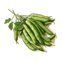 Grün Bohnen Aquarell Illustration, Gemüse isoliert auf transparent Hintergrund, ai generativ png