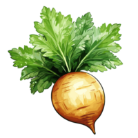 Zanahoria acuarela ilustración, vegetal aislado en transparente fondo, ai generativo png