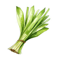 Leek watercolor illustration, Vegetable isolated on transparent background, AI Generative png