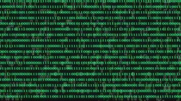 binario código negro y verde antecedentes con dígitos Moviente en pantalla video