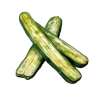 Zucchini Aquarell Illustration, Gemüse isoliert auf transparent Hintergrund, ai generativ png
