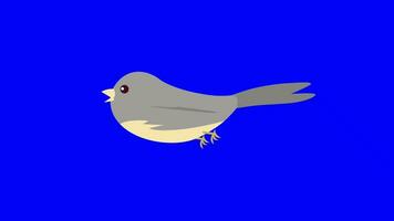 dessin animé des oiseaux - Facile des oiseaux en volant - plat Couleur - gris video