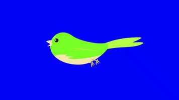 dessin animé des oiseaux - Facile des oiseaux en volant - plat Couleur - lumière vert video