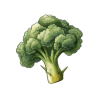 Broccoli watercolor illustration, Vegetable isolated on transparent background, AI Generative png