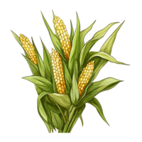 Corn watercolor illustration, Vegetable isolated on transparent background, AI Generative png