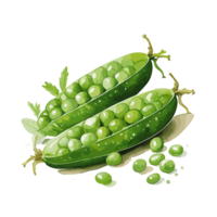 Peas watercolor illustration, Vegetable isolated on transparent background, AI Generative png