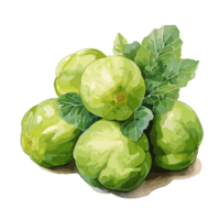 Brussels Sprouts watercolor illustration, Vegetable isolated on transparent background, AI Generative png